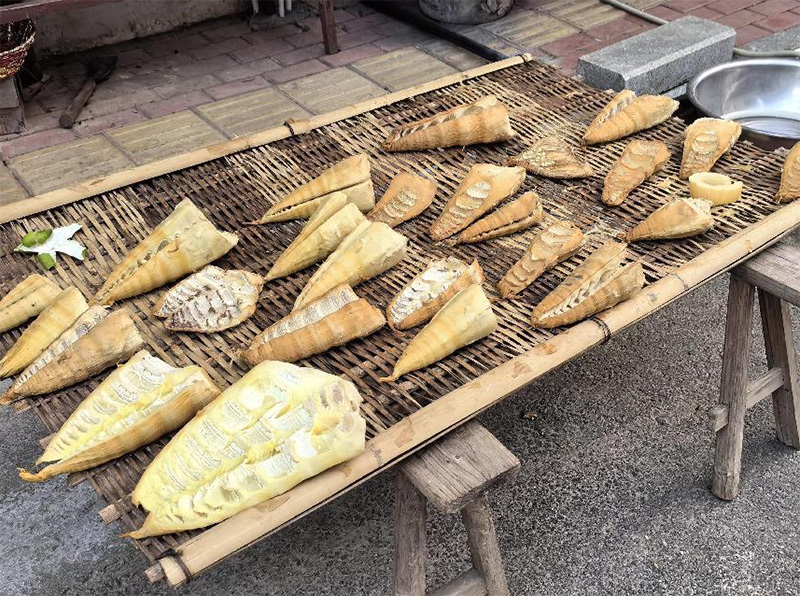 ��ѧ������С�����ô�ɽ��ġ����ز�������ȫ��