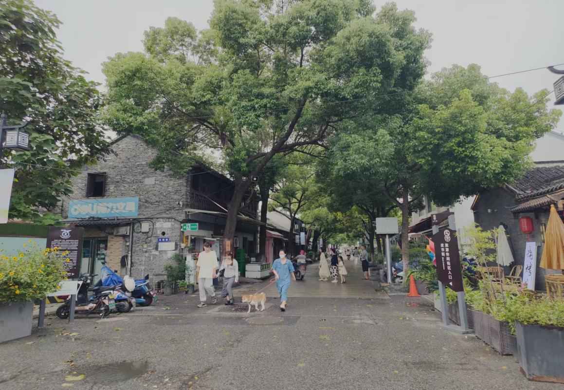 ����ѧ�������磺�۽��ų����ݣ������ִ�����չ