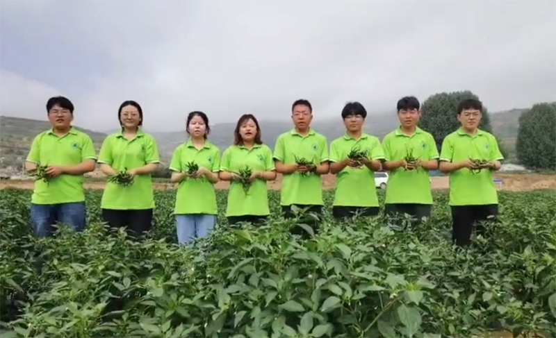 ������ʵ��������ʹȣ���������������ҵ��ƪ��