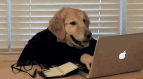 �½����������������ְҵ����ѧԺ��ҵ�ʼ���ҵǰ����ô��