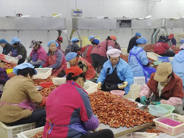  �������������ò����չС���»���������Ǯ�ô����ʵ��