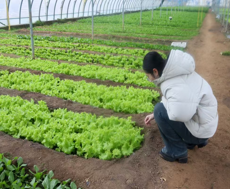 ץ������ת����  �ٽ��ܼ��ŷ�չ