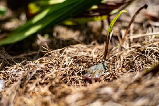 ÿ��ʵ������