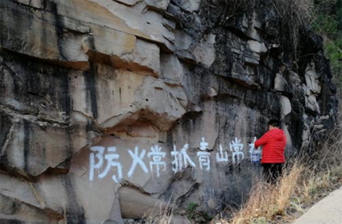 ��ѧ����ټ�ɭ�ַ�������Ա