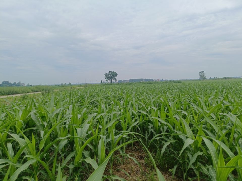 �Ǽ����������ս��ȡ��������Ч����ɫ��չ�����·���