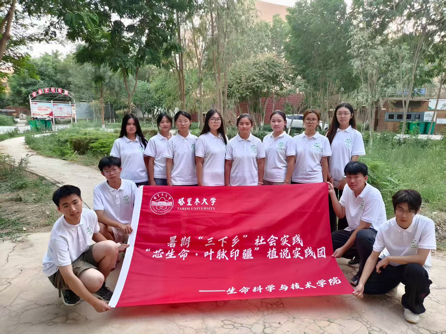 ����ľ��ľ���� �����о�������