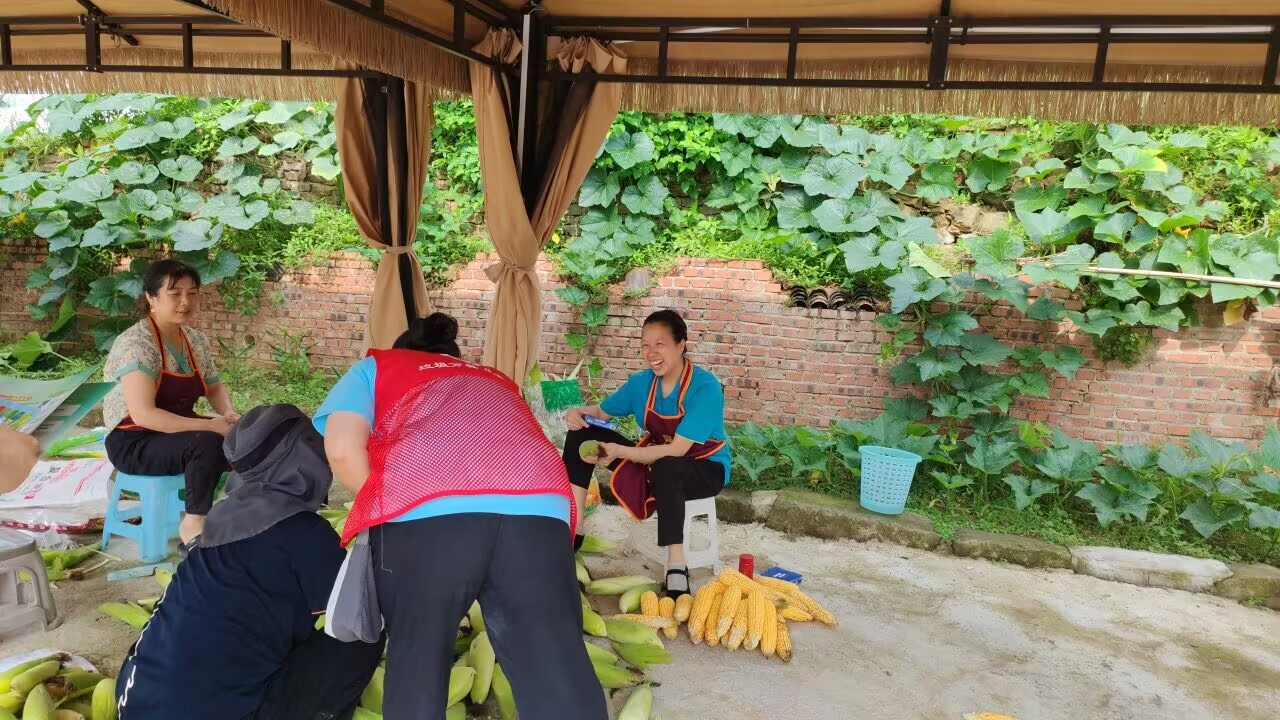 ��������������������ʦ����ѧ���������ѧԺ־Ը��������뽨�´��������������ʵ��