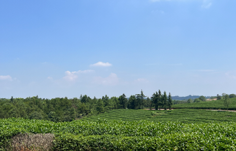 ��̬��԰Ʈ��Զ�����⾭�÷�����