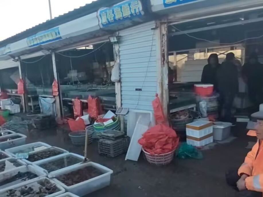 ��԰ѧ�Ӻ������ʵ��������������ҵ�Ļ�������������������»�