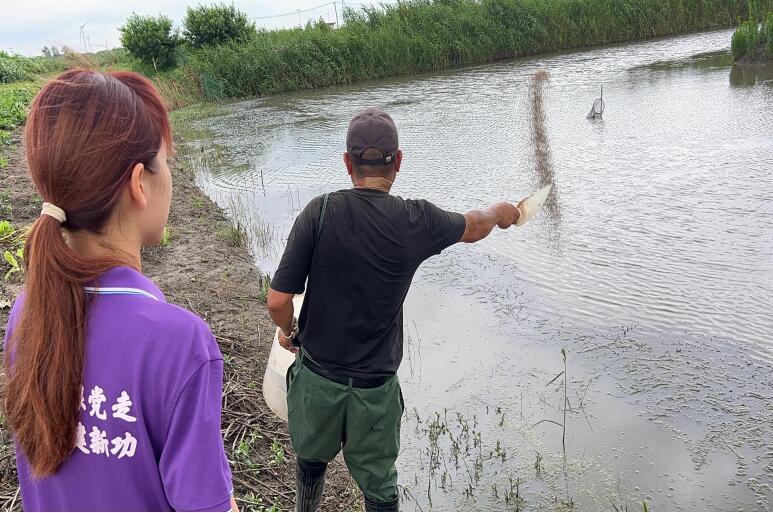 ��ɳ����򣬴���ɫ���񣺹���ѧ�Ӳηó�����ɳ��������κ�