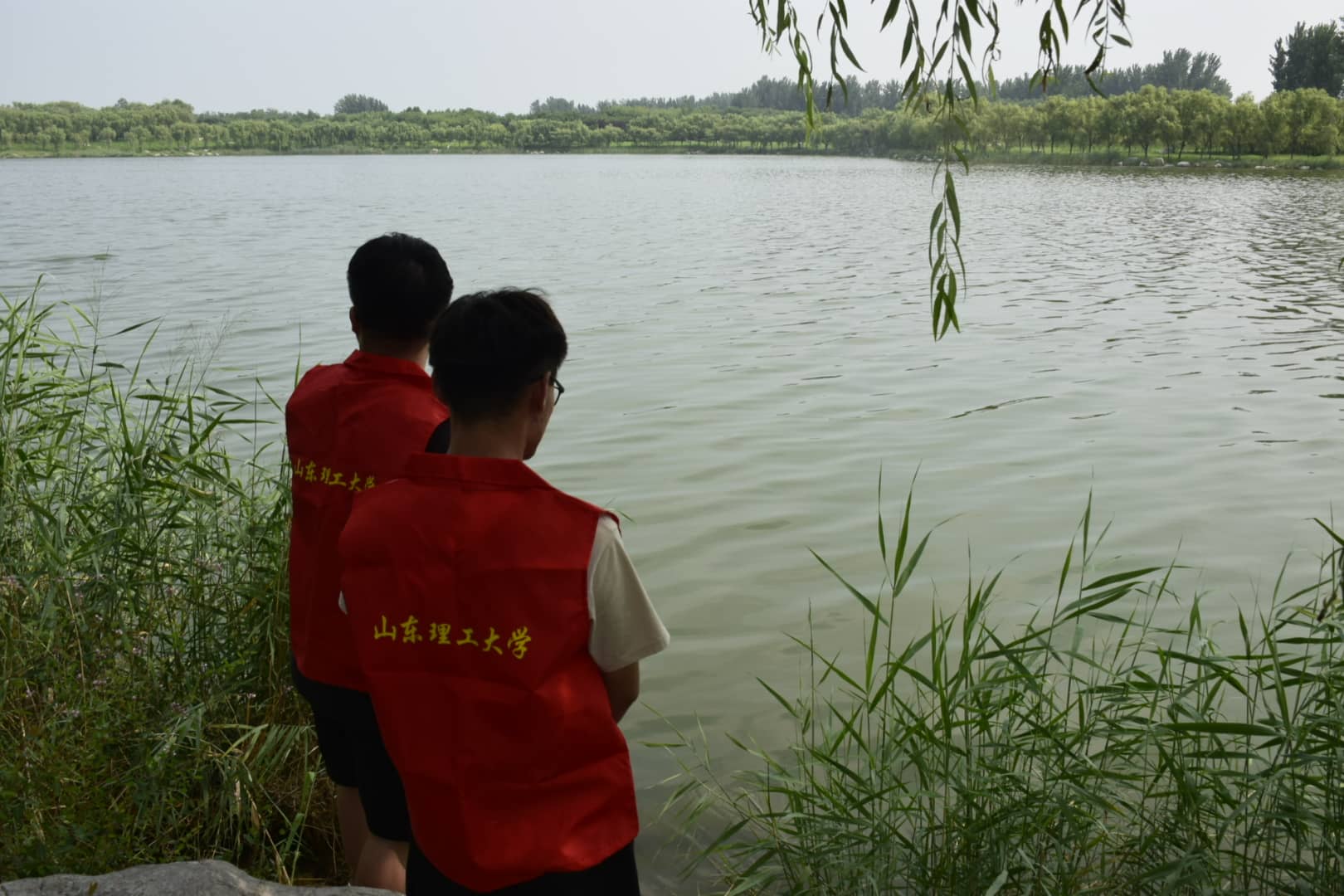 ���δٷ�չ�����������