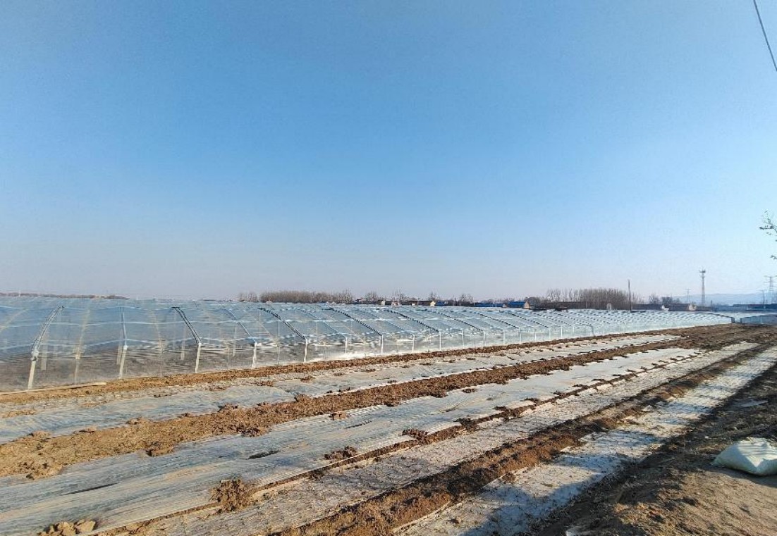 ��԰ѧ��̽Ѱ���֣�����Ӫ�²˻��������������