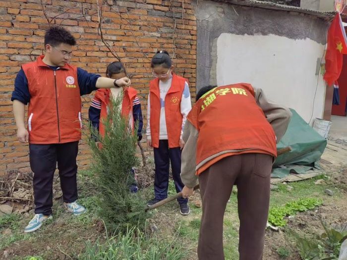 ��ѿ�ж�����Сѧֲ����