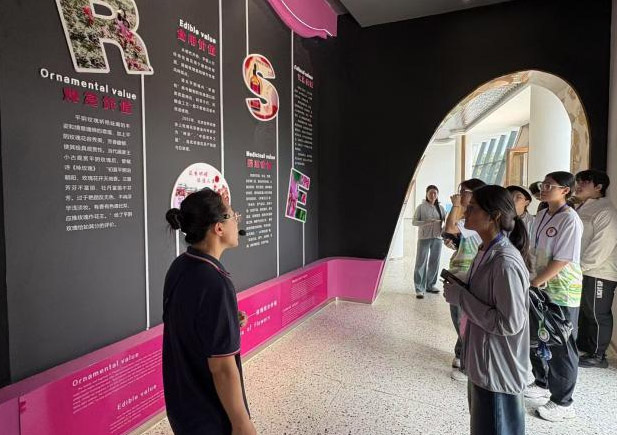 ����ƽ���ӵ�����̽��õ���ҵ�������е�����֮·