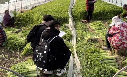 ������˲��������������������