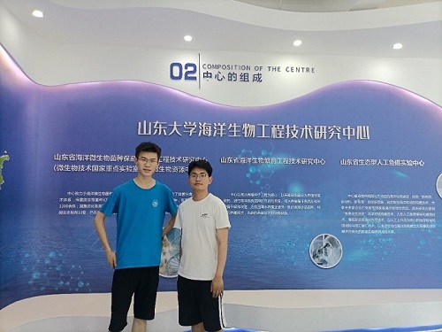 Auto line-���ܻ���-�߷���ҵУ���ŷ���ɽ����ѧ����Ƽ���������