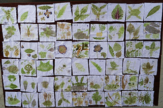 �زݴ�������סʢ�ļ���