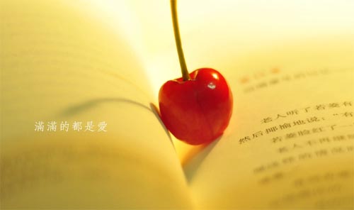 ������һ�ָо�