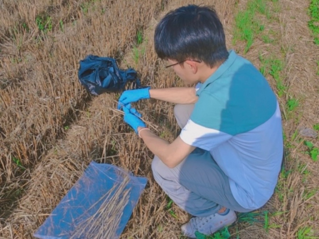 ��ũѧ�ӣ���ϵ������Դ�γɣ������������»�ʯ