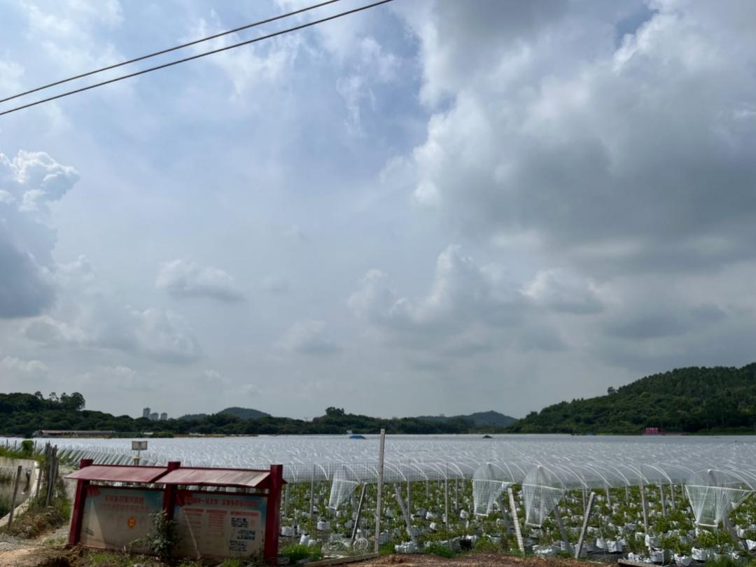 ʦѧѧѧԺӸǽֵչл