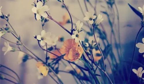 ǭ��������ְҵ����ѧԺ��ҵ�ʼ���ҵǰ����ô��