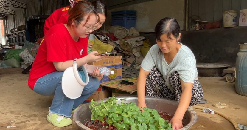 ��֣����ѡ��������ũ�Ŷ�����̱���ϻ��أ��Ͻ�ʵ����ֲ����