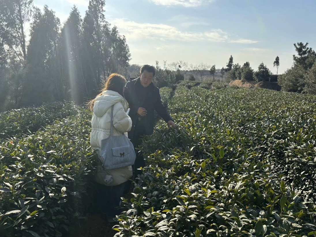 �Ƽ��˲�̽�¾���ʵ����ũ������