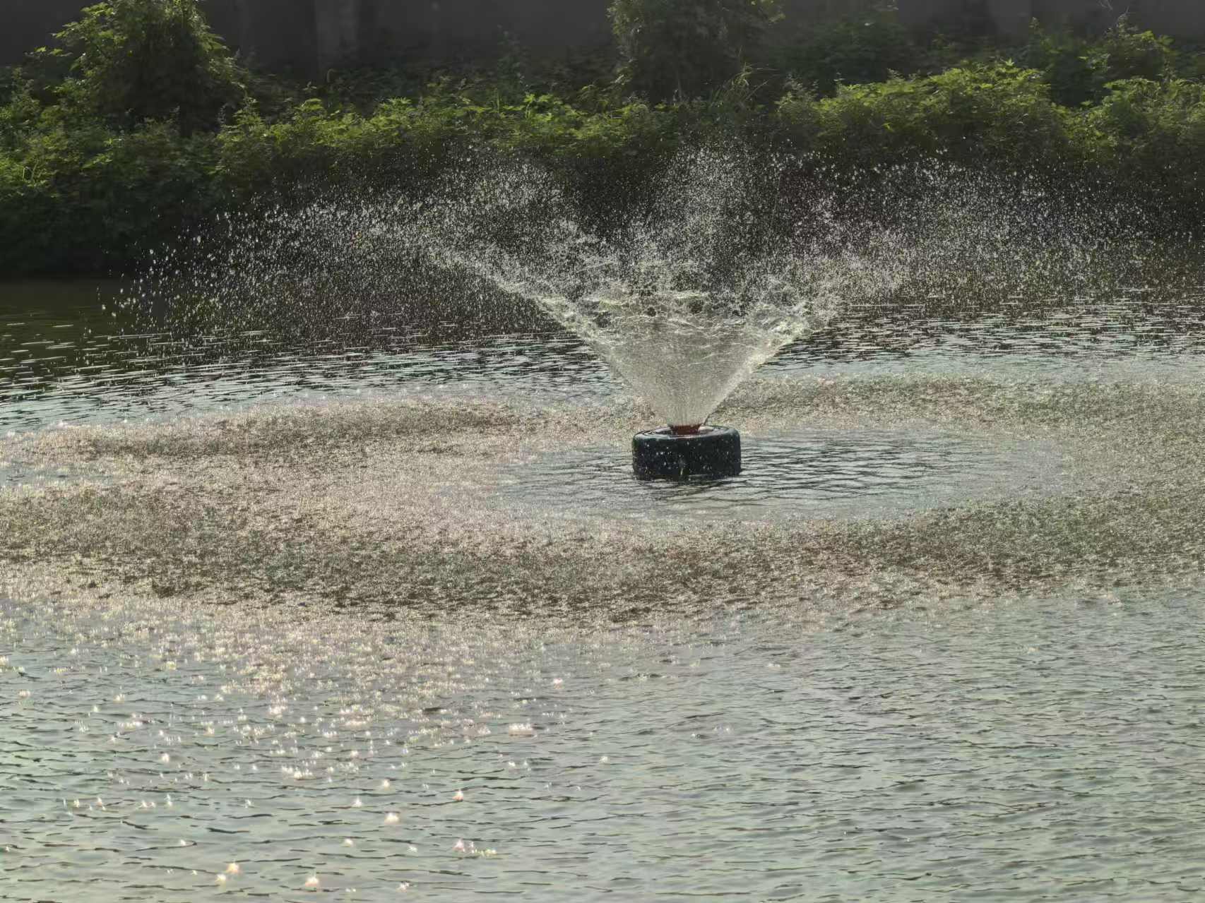 �������϶ӣ��߲���ҩ�����ۺ���ֳ��ģʽ̽�����н���ʱ