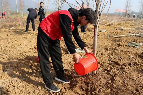 �׷��¸�������ߵ�ֲ���