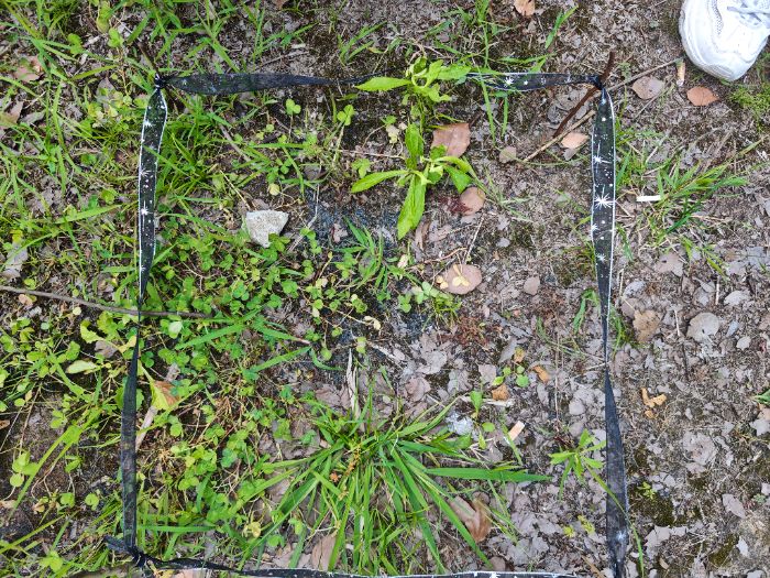 �ʻ�ѧԺ�������硱�������ʵ�������ﾺ�����̻��ػ�