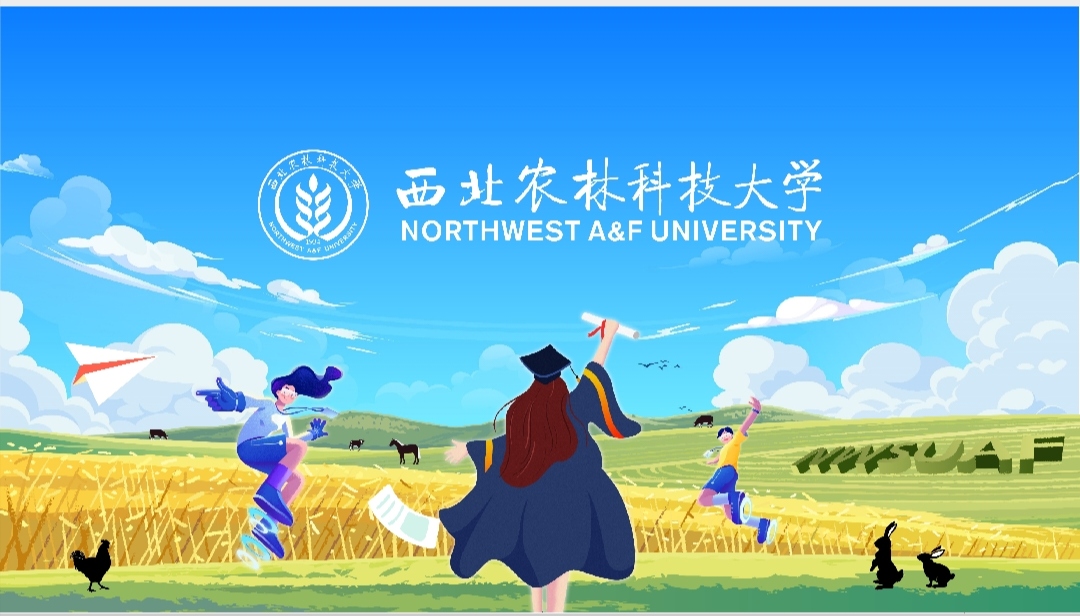 ũѧӻطĸУ鳲ϵĸУδδ