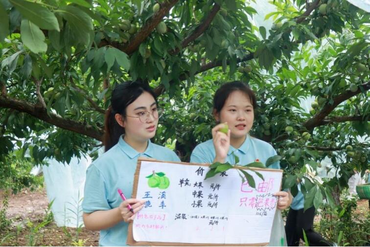 �����мѹ������������