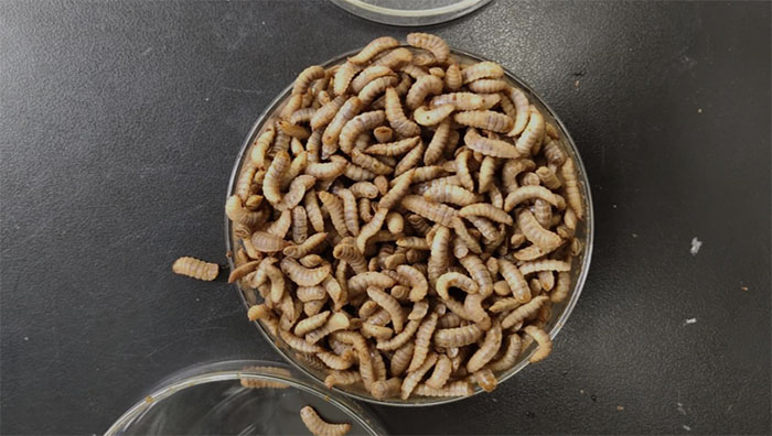 ���桯��Ӯ�����¿�ѧ���������ݲ�ҵ�������