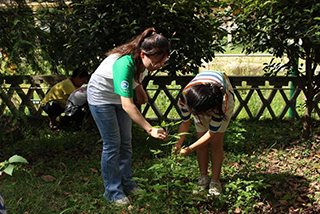 ֲ����Ⱦ ̽����Ȼ֮��