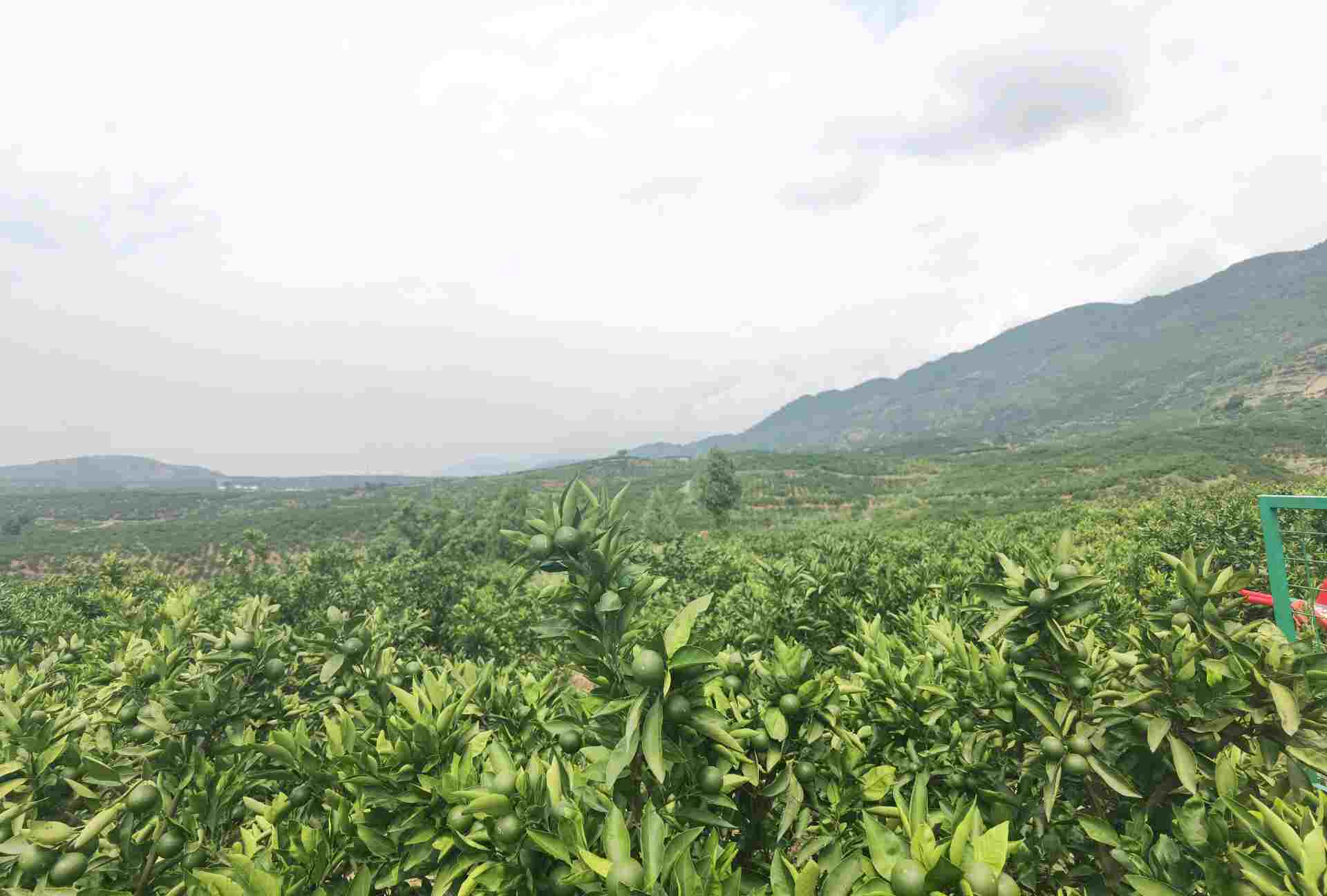 �˽�԰֮�磬�����������