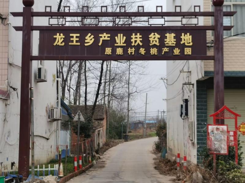 ũ�����ֱ������������ɫ��ҵ��չ��ʵ�����·�о������Ը�����