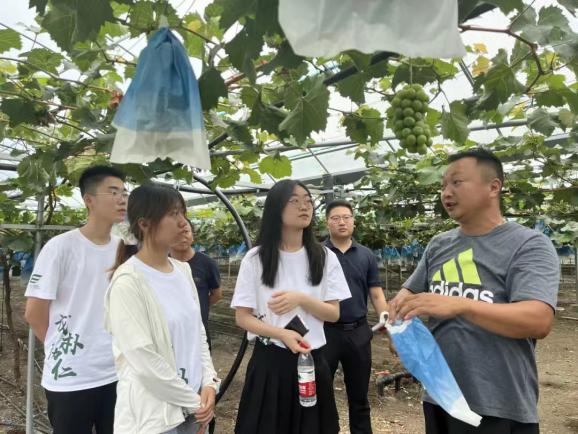 ���ʵ������ʳ�����ţ��������Ļ����������ʵ���� �߽������б�