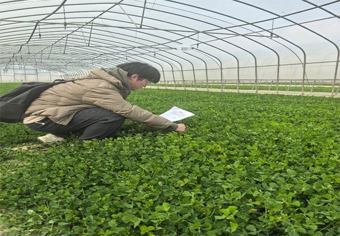 �Ϻ����⾭ó��ѧ����������������ˡ�Զ������������һ���߽���