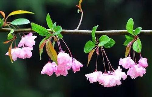 �к�Ӧ��ԭ��Ů���ӵĵط���