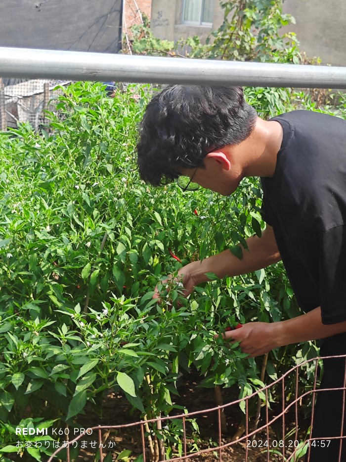 ����ľ��ѧ2024�����ڡ������硱���ʵ��