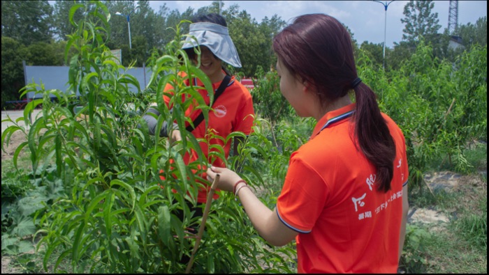 �Ϸʹ�ҵ��ѧѧ���߽������ؽ��̽Ѱ��̬���ҵ�ں�֮·