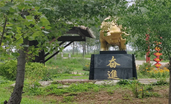 ɽ��ѧ��������:������Ŷ���������ʯ��ɽ��չ���л