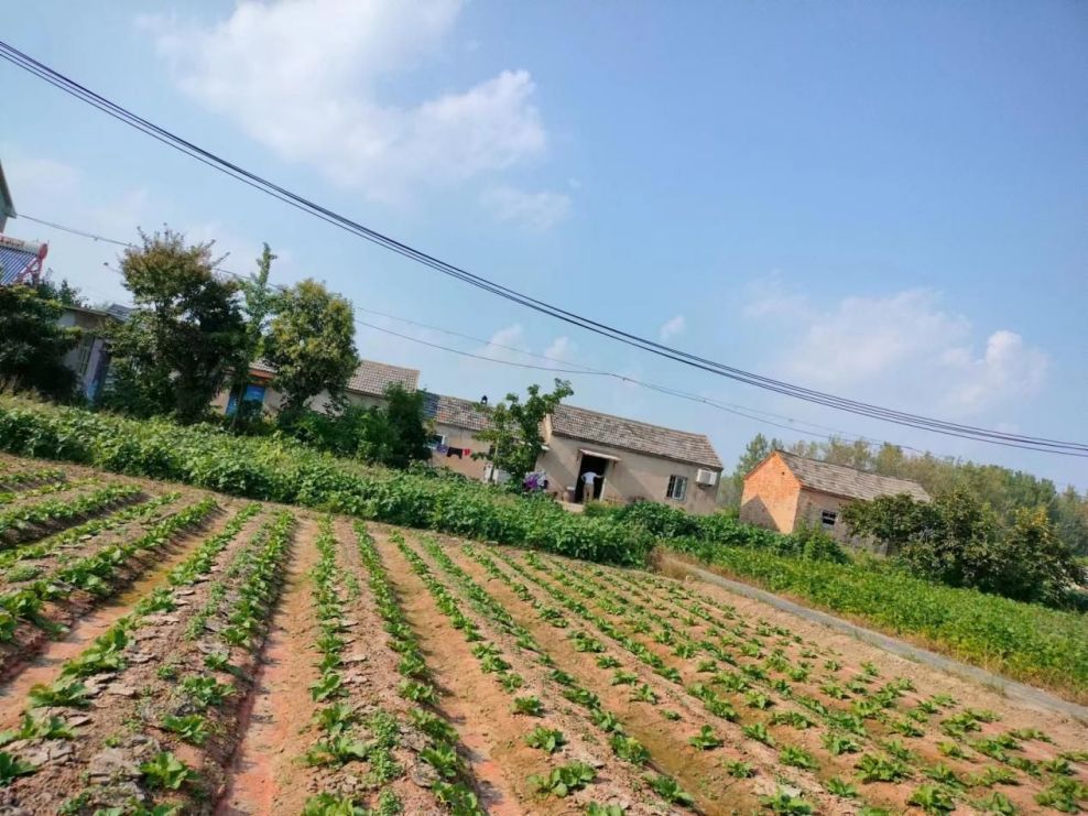 ũ���ഺ�������������