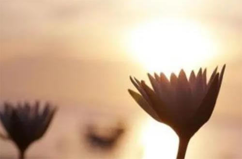 �������ͻ�