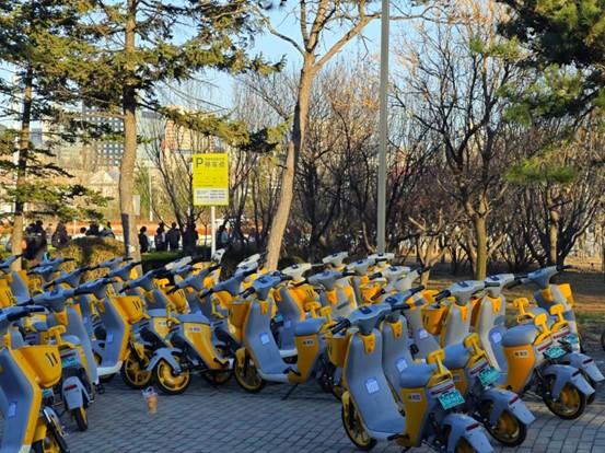 ��̽��У���Ƴ������У԰ʵ�¡���������������ѧѧ�������Ż�У