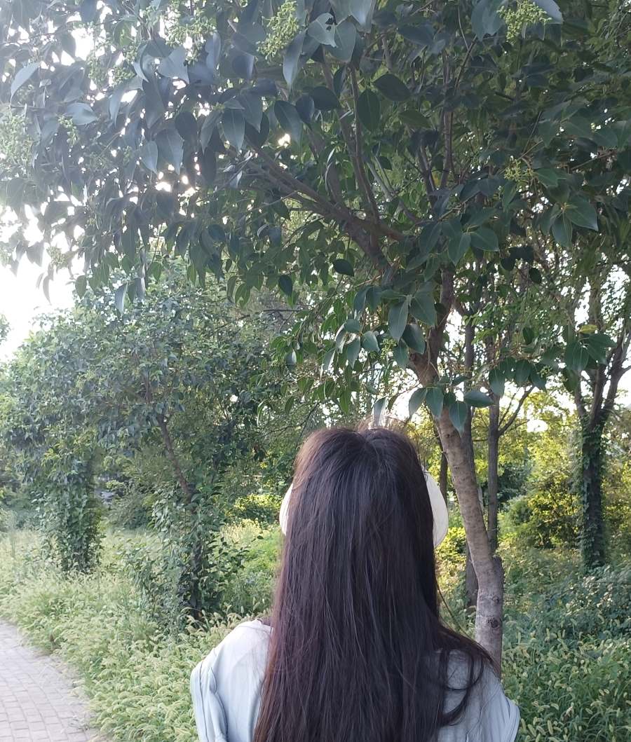 �����й���̽�̡���|վ�ڼ���Ľֵ��ԣ����̻�����Ķ��˻�������