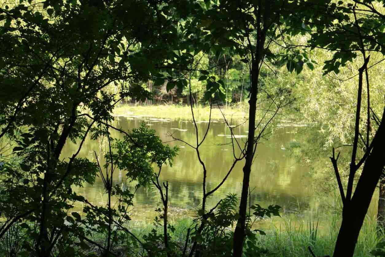 Ȥ��ʪ�أ����ҡ�����Ȼ