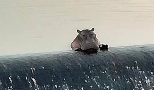 ��һ���Ҹ�������