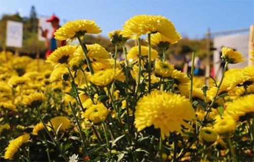 �˴�����ɽ��չ���ɾ���ũ�С����ʵ��־Ը����