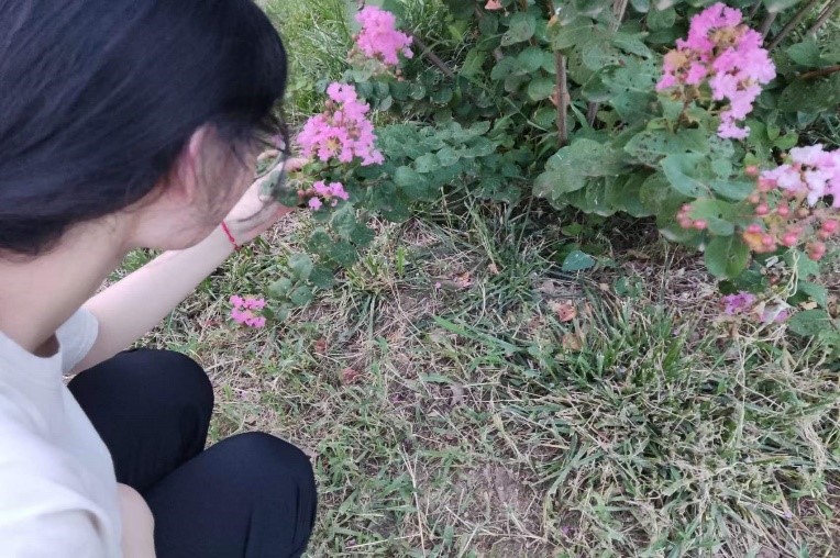 �����й���̽�̡��ǡ�����̽�̡�ʵ���ſ�չ����֮ɽ��ʡ�����е��ء�ɽ����̨���������е���ʵ�ص���